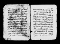 ספר תשובה.
