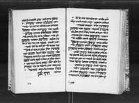 אלג'אמע.