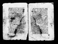 תפסיר עשרת הדברים : הפרוש הארוך לספר ויקרא.