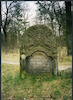 Photograph of: Jewish cemetery in Przytyk.