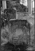 Photograph of: Jewish cemetery in Biłgoraj.