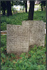 Photograph of: Jewish cemetery in Frampol.