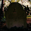 Photograph of: Jewish cemetery in Bonn.
