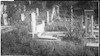 Photograph of: Old Jewish Cemetery in Bârlad.