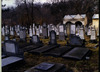 Photograph of: Jewish cemetery in Sibiu.