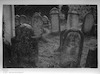 Photograph of: Jewish cemetery in Târgu-Mureş – הספרייה הלאומית