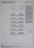 Measured drawings. Photograph of: Drawings of the Cemetery chapel in Chemnitz