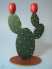 Photograph of: Sabar (cactus).
