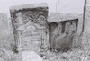 Photograph of: Jewish Cemetery in Podu Iloaiei.