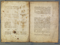 צורת המזלות.