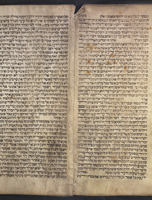 מגלת אסתר.