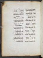 עין הקורא.