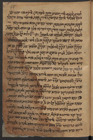 אלג'אמע.