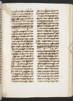 צדה לדרך.
