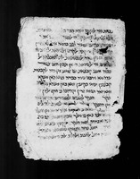 אלמרשד אלכאפי (קטע).