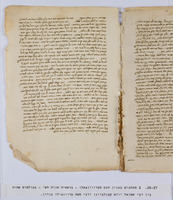 אגרות בענין הפולמוס על הגט של תמרי-ונטרוצו בין ר' משה פרובנצלו ור' שמואל יודא קצנלנבויגן.