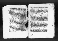 אלמרשד אלכאפי.