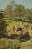 המעין עין-חרוד ומערת גדעון – הספרייה הלאומית