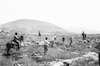 Arab workers from the occupied territories working in planting trees for the forest which is planed near Segera – הספרייה הלאומית