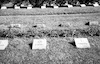 Cemetery near Dahau with graves of Jews but with a Christian Cross on the grave – הספרייה הלאומית