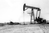 שדות הנפט של אבו רודס בסיני.