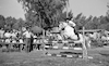 תערוכת סוסים עם תצוגה נערכה בכפר בלום.