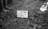 הלווייתו של אורון ירדן שנרצח על ידי צבי גור.