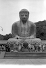 A huge statue of Budha – הספרייה הלאומית