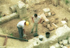 Excavations at Shuni archaeological site.