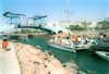 Eilat, the southern town of Israel became the most tourist attraction by Israelis as well as by foreigners.