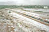 The heavy hail which fell during the last night, covered the Tel Aviv area with a white blanket reminding the snow.