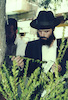 Thousands of Israelis spent the last few hours before the beginning of the seven-day festival of Succot on Wednesday 29 September 1993 looking in markets for the four Succot species - Etrog, Lulav, Hadas and Arava.