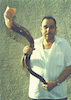 The photograph shows Tel Aviv Shofar factory owner Avraham Ruben with one of the largest shofars ever produced in the Land of Israel.