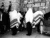 Orthodox Jews praying on 9th of Av at the Western Wall.