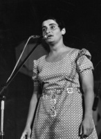 פסטיבל - מוזיקה.