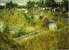 Photograph of: New Jewish cemetery in Teleneşti (Teleneshty).