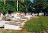 Photograph of: Jewish cemetery in Camagüey.