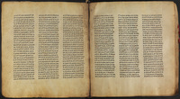 תרגום געז לתורה : אורית.