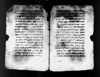 פרוש מילות המקרא ליהודה אבן בלעם.