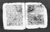 כתאב אלחאוי.