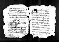שרח אלמוגז (קטע).