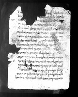 שיטת המדעים(?) (קטע).