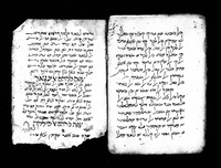 אלמוג'ז.