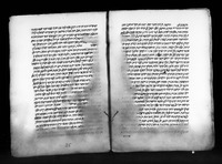 נורא תהלות.