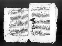 ערוגות הבשמים.
