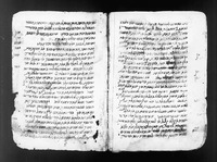 דברי ראב"ע על אבן ג'נאח.
