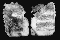 בעל הטורים (קטעים).