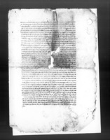 עץ חיים (קטע).