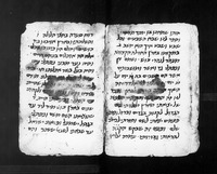 אלדד הדני (קטע).