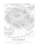 Amazing sea life : adult coloring book / by Tali Carmi – הספרייה הלאומית
